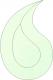 Cristal fazetat RB10 Green